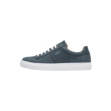 Grijs blauw