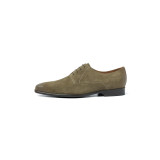 Grijs groen