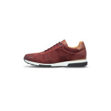 Bordo rood