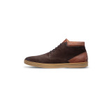 T-moro bruin